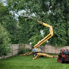 Best Emergency Tree Removal  in Western Lake, TX