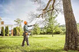 Best Seasonal Cleanup (Spring/Fall)  in Western Lake, TX